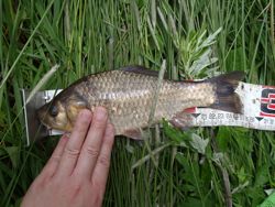 ファイル 1164-4.jpg