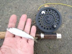 ファイル 1165-2.jpg