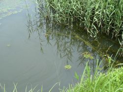 ファイル 1168-1.jpg