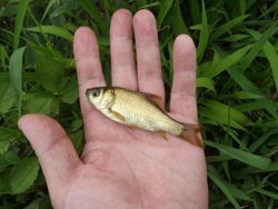 ファイル 1168-2.jpg