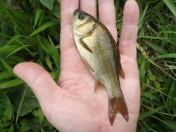 ファイル 1168-3.jpg