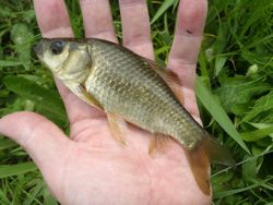 ファイル 1168-4.jpg