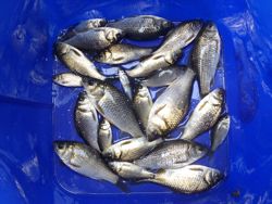 ファイル 1168-5.jpg