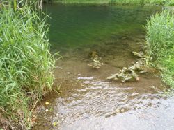 ファイル 1170-1.jpg