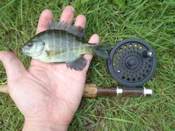 ファイル 1170-2.jpg