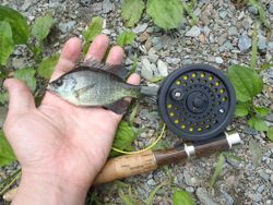 ファイル 1170-3.jpg