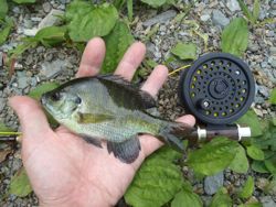 ファイル 1170-4.jpg