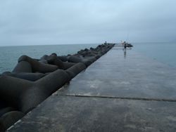 ファイル 1171-1.jpg