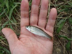 ファイル 1177-4.jpg