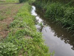 ファイル 1178-1.jpg