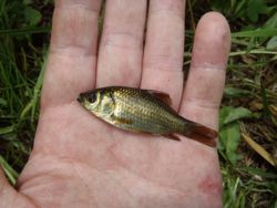 ファイル 1178-2.jpg