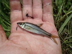 ファイル 1178-3.jpg