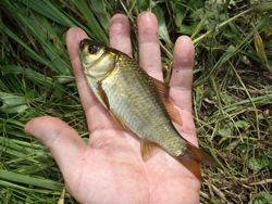 ファイル 1178-4.jpg