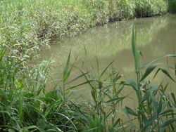 ファイル 1179-1.jpg