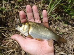 ファイル 1179-2.jpg