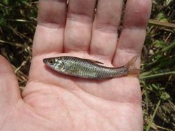 ファイル 1179-3.jpg