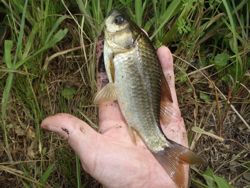 ファイル 1179-4.jpg