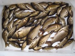 ファイル 1179-5.jpg