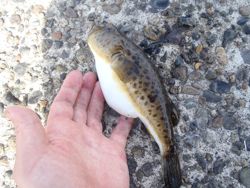 ファイル 1180-4.jpg