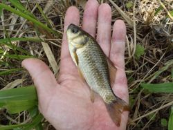 ファイル 1182-2.jpg