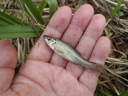 ファイル 1182-3.jpg