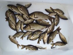 ファイル 1182-5.jpg