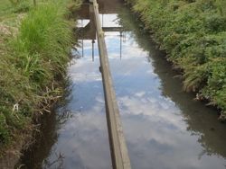 ファイル 1187-1.jpg