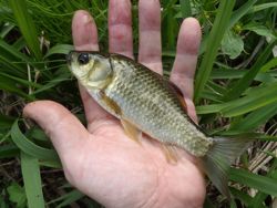 ファイル 1187-3.jpg