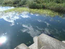 ファイル 1188-1.jpg