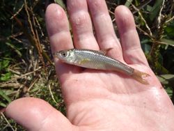 ファイル 1194-2.jpg