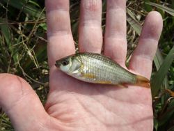 ファイル 1194-3.jpg