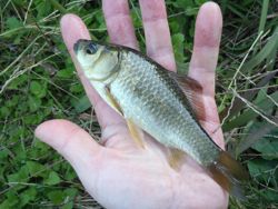 ファイル 1194-4.jpg