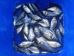 ファイル 1194-5.jpg