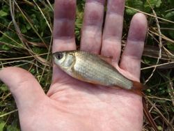 ファイル 1199-2.jpg