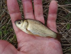 ファイル 1199-4.jpg