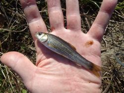 ファイル 1203-3.jpg