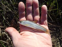 ファイル 1203-4.jpg