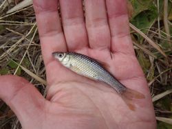 ファイル 1204-4.jpg