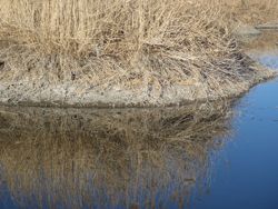 ファイル 1207-1.jpg