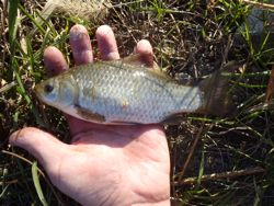 ファイル 1207-3.jpg