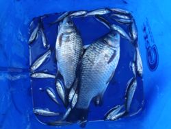 ファイル 1207-5.jpg