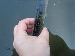 ファイル 1217-2.jpg