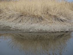 ファイル 1220-1.jpg