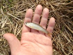 ファイル 1220-2.jpg