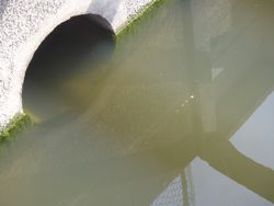 ファイル 1222-1.jpg