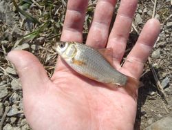 ファイル 1222-2.jpg