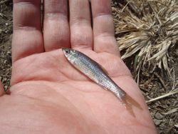 ファイル 1222-3.jpg