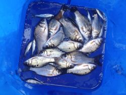 ファイル 1222-5.jpg