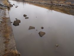 ファイル 1223-1.jpg