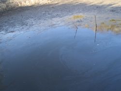 ファイル 1226-1.jpg